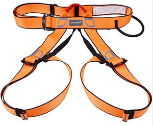 PRO Climbing Harness